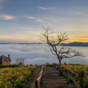 Thuê Xe Du Lịch Có Tài Xế Đi Đà Lạt